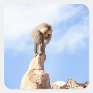 Majestic Baboon on Mountain Peak Square Sticker
