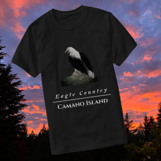 Majestic Bald Eagle Perched on a Rock T-Shirt