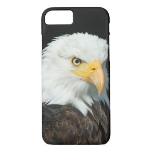 Majestic Bald Eagle Portrait iPhone 8/7 Case