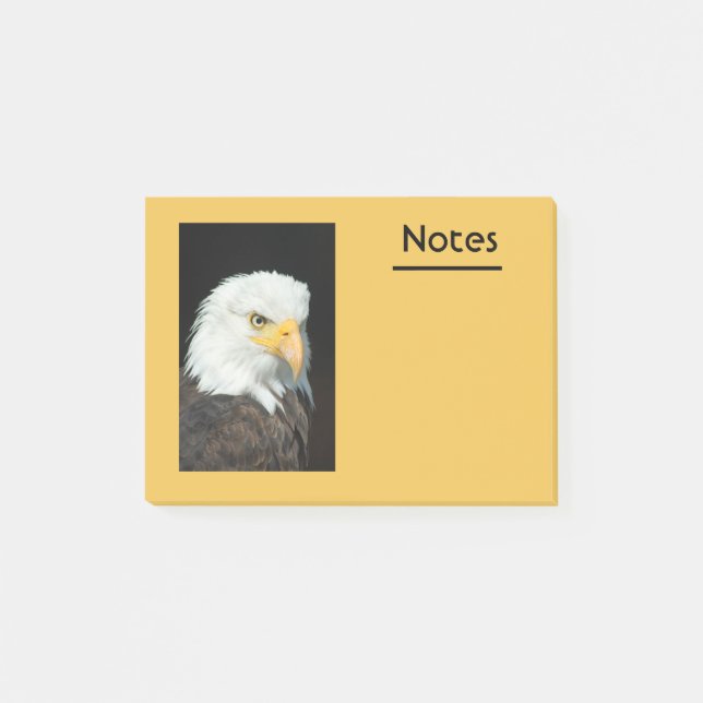 Majestic Bald Eagle Portrait Post-it Notes (Front)