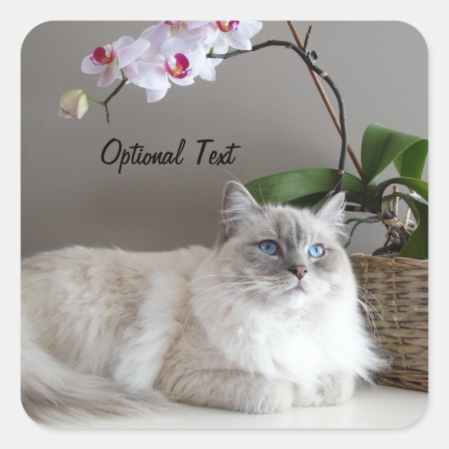 Majestic Balinese Cat Square Sticker (Front)