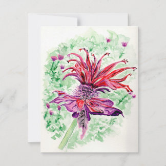 Majestic Bee Balm Card