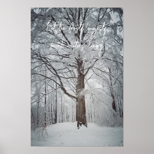 Majestic beech tree in the winter forest poster (Front)