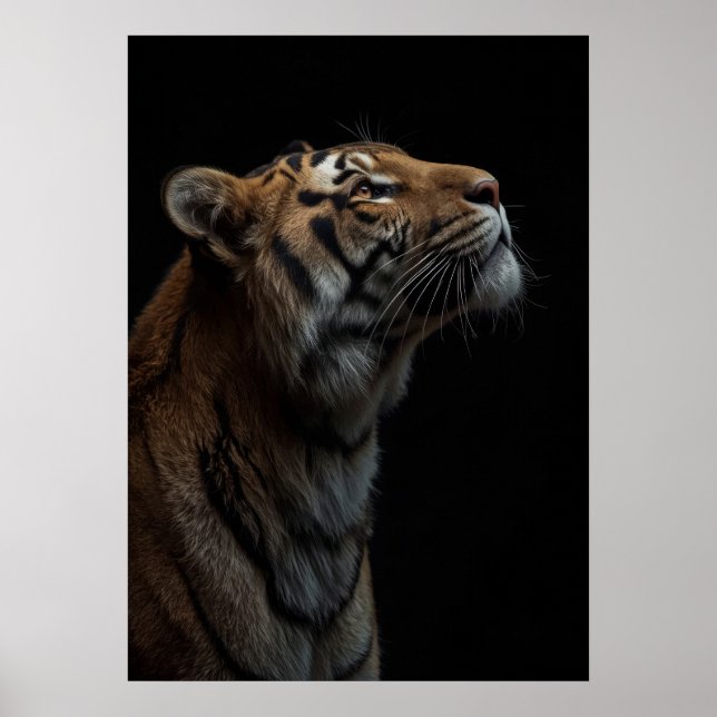 Majestic Bengal Tiger Wildlife Portrait Poster (Front)