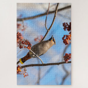 Majestic Bird, Canadian Bohemian Waxwing Jigsaw Puzzle