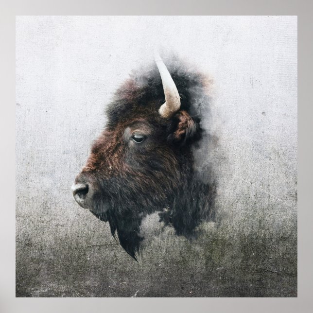 Majestic Bison Portrait Poster (Front)