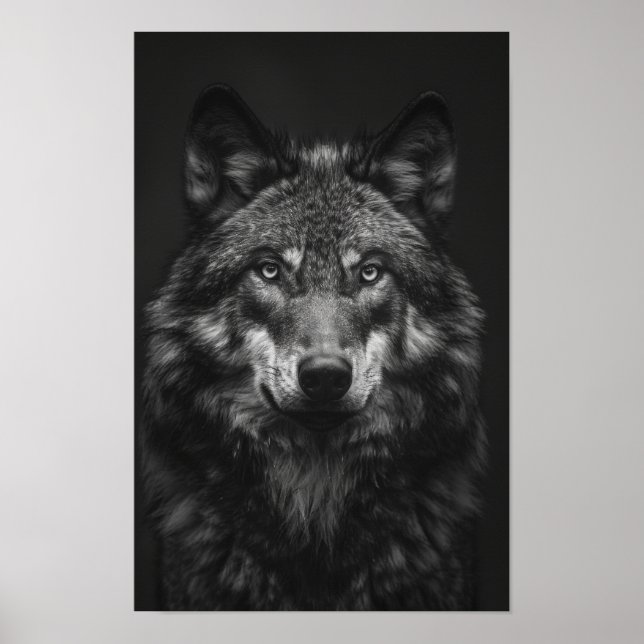 Majestic Black and White Wolf Portrait Poster (Front)