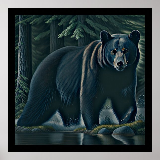 Majestic Black Bear Of The North Woods Poster (Front)