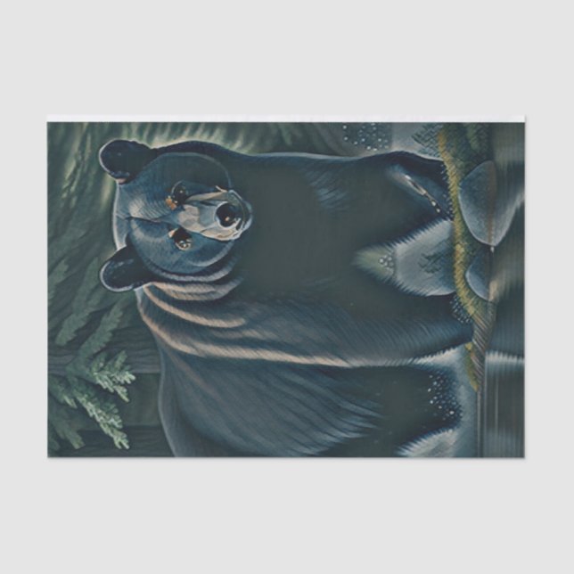 Majestic Black Bear Of The North Woods Tissue Paper (Front)