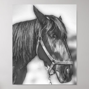 Majestic Black Horse Poster