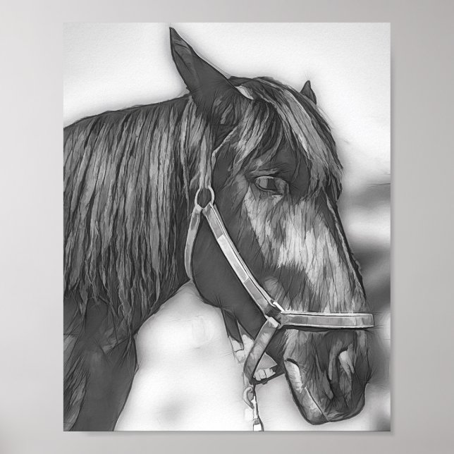 Majestic Black Horse Poster (Front)