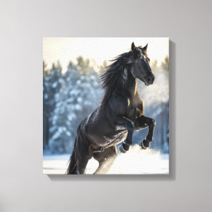 Majestic Black Stallion in Winter Snow Canvas Print