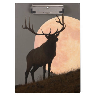 Majestic Bull Elk and Full Moon Rise Clipboard