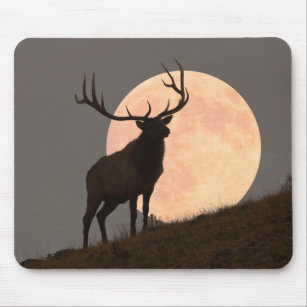 Majestic Bull Elk and Full Moon Rise Mouse Mat