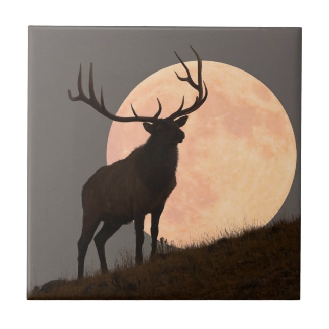 Majestic Bull Elk and Full Moon Rise Tile (Front)