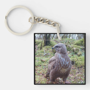 Majestic Buzzard Side Glance Woodland Raptor Bird Key Ring