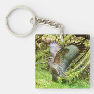 Majestic Buzzard Wing Stretch Woodland Bird Wild Key Ring