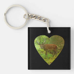 Majestic Cautious Antlered Deer Powerful Wildlife Key Ring