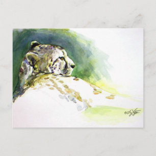 Majestic Cheetah Postcard