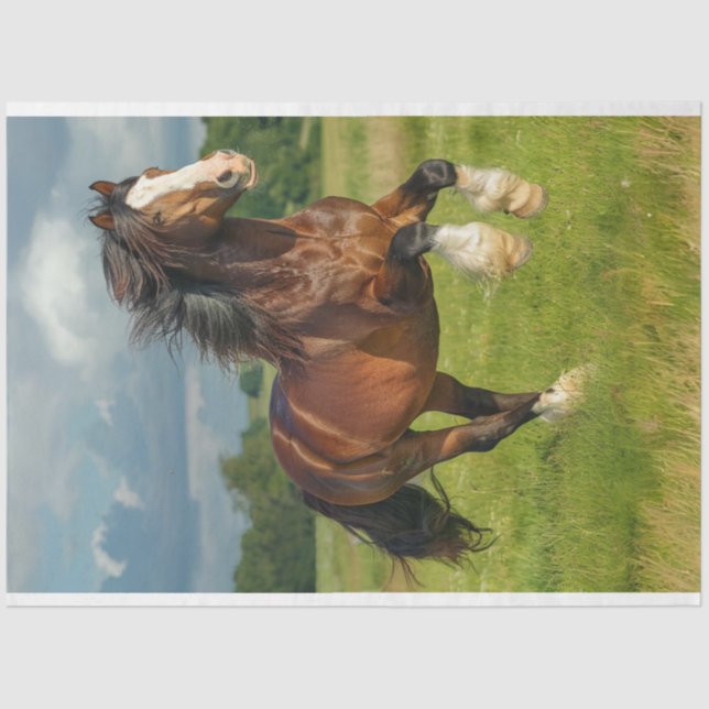 Majestic Chestnut Clydesdale Horse Decoupage Tissue Paper (Front)