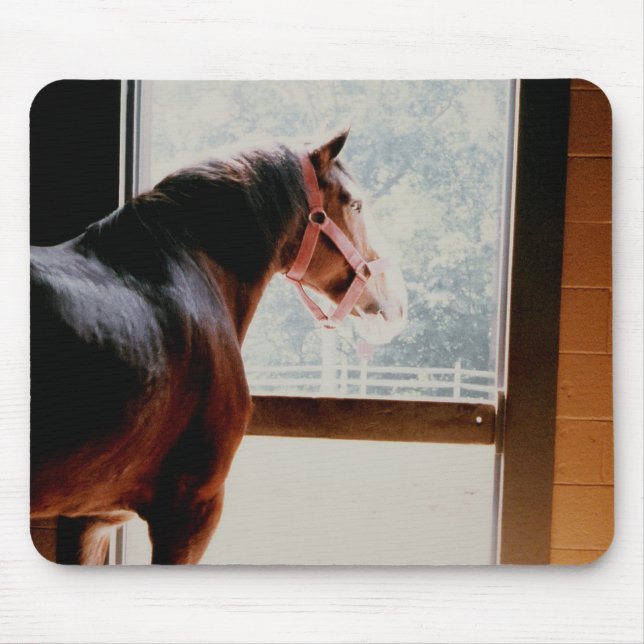 Majestic Clydesdale Mouse Mat (Front)