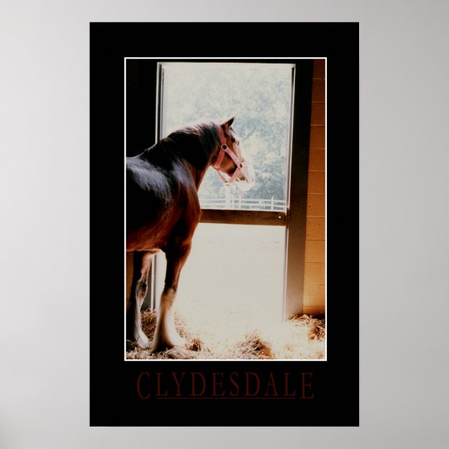 Majestic Clydesdale Poster (Front)