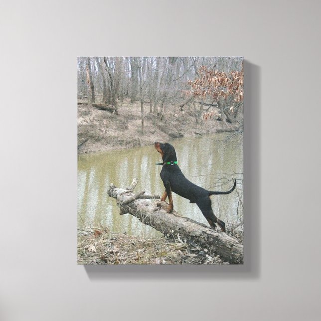 Majestic Coon Hound at the River Canvas Print (Front)