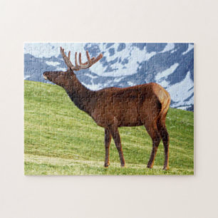Majestic Deer in the Mountains Jigsaw Puzzle
