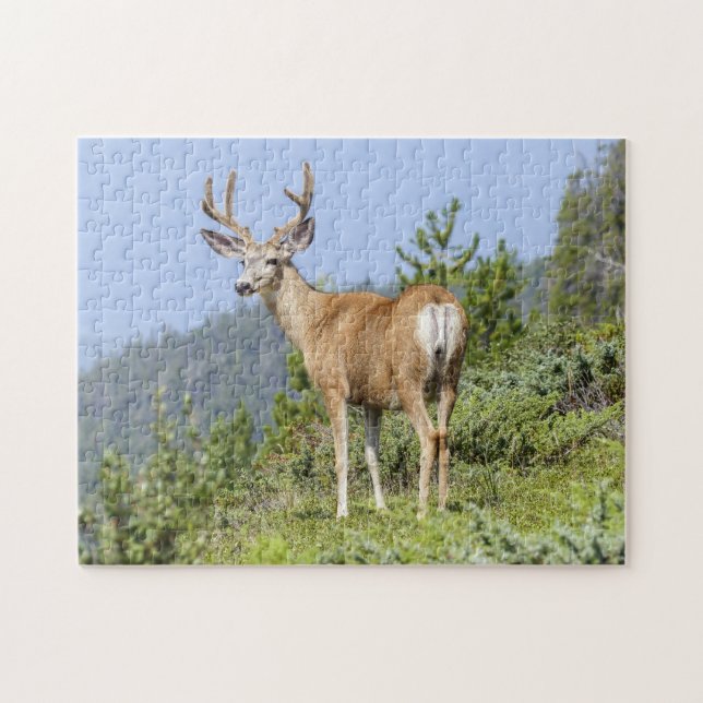 Majestic Deer Jigsaw Puzzle (Horizontal)