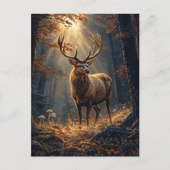 Majestic Deer Stag in the Forest Postcard (Front)
