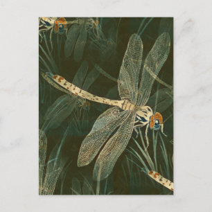 Majestic Dragonfly Pattern  Postcard