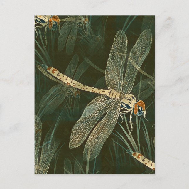Majestic Dragonfly Pattern  Postcard (Front)