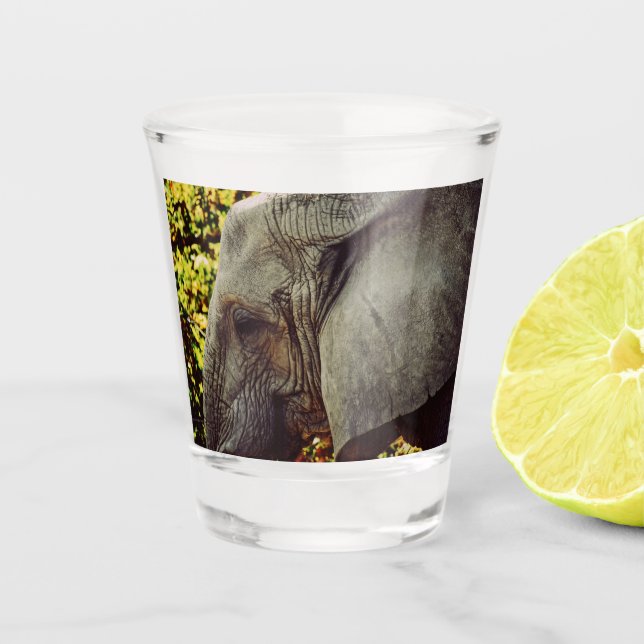 Majestic Elephant Shot Glass (Front)