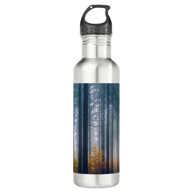 Majestic Forest Tree Lined Path 710 Ml Water Bottle (Front)