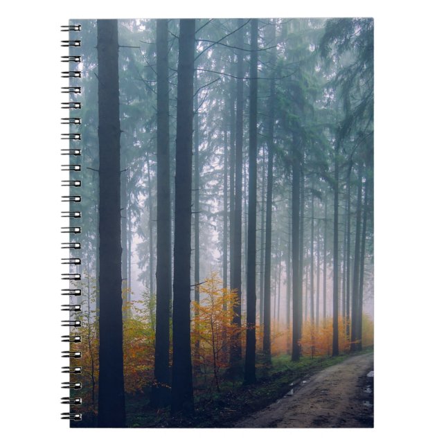 Majestic Forest Tree Lined Path Notebook (Front)