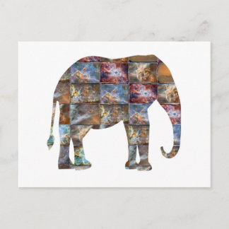 Majestic Friendly Animal : Elephant Marble Tiles Postcard