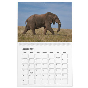 Majestic Giants African Wildlife Calendar