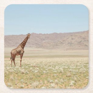 Majestic Giraffe in the African Savannah Square Paper Coaster