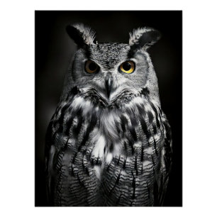 Majestic Great Horned Owl Black & White Fine Art Poster