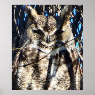 Majestic Great Horned Owl Wildlife Photo Poster