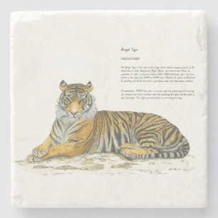 Majestic Hand-Painted Bengal Tiger Stone Coaster