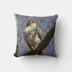Majestic Hawk Cushion