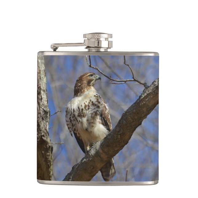 Majestic Hawk Hip Flask (Front)