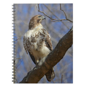Majestic Hawk Notebook