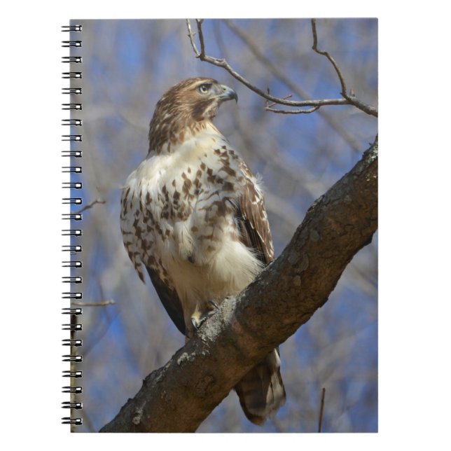 Majestic Hawk Notebook (Front)