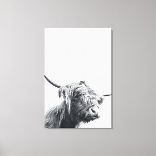 Majestic Highland cow black and white Canvas Print