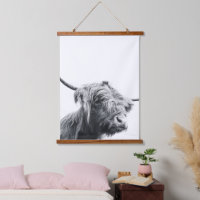 Majestic Highland cow black and white