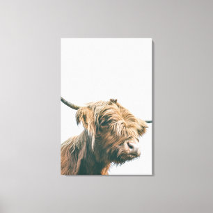 Majestic Highland cow portrait Canvas Print