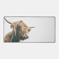 Majestic Highland cow portrait