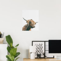 Majestic Highland cow portrait